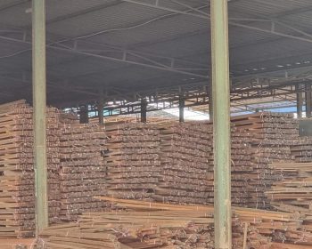 jual kayu di batam, kaso, papan, reng, balok, broti, baji, ganjalan, kusen, daun pintu